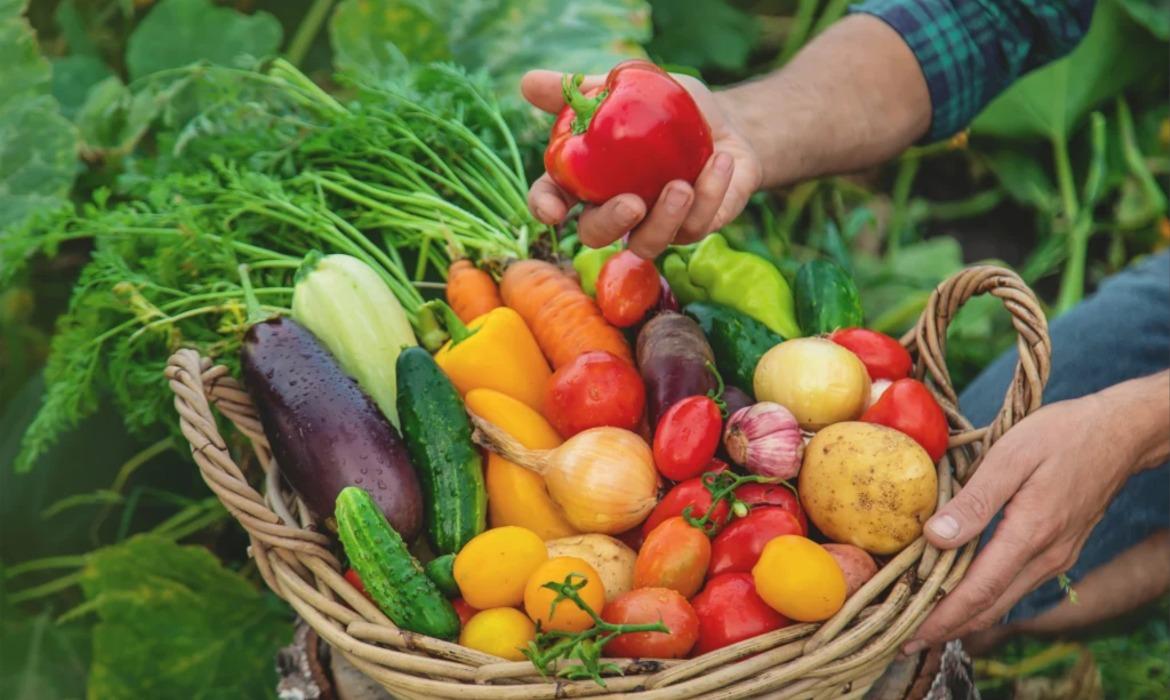 Município adere o Programa Compra Direta de Alimentos e fortalece a agricultura familiar e a segurança alimentar