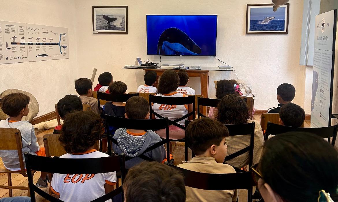 Projeto Baleia Jubarte inaugura exposição no Museu Histórico de Santa Cruz e fortalece educação ambiental e turismo em Aracruz