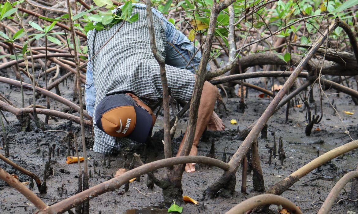 Semam divulga lista dos catadores de caranguejo deferidos e indeferidos no projeto Vida no Mangue