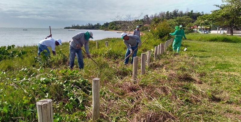 Prefeitura realiza manejo da restinga em Santa Cruz 