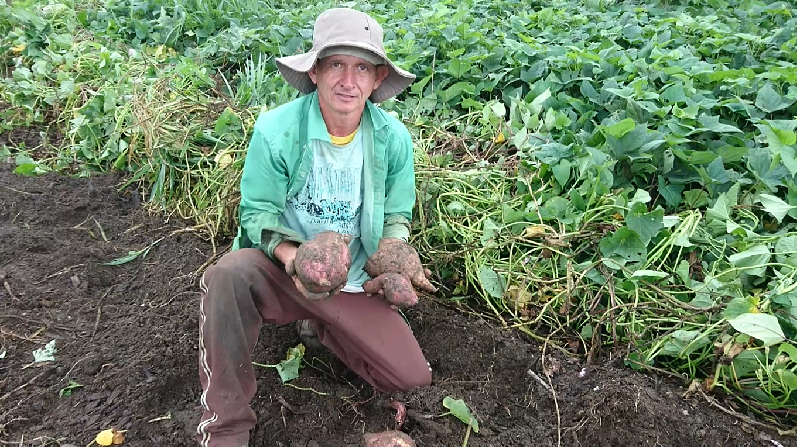 Agricultura Familiar: Merenda escolar agroecológica nas escolas da Rede Municipal 